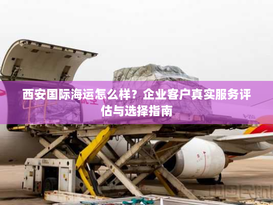 西安国际海运怎么样？企业客户真实服务评估与选择指南