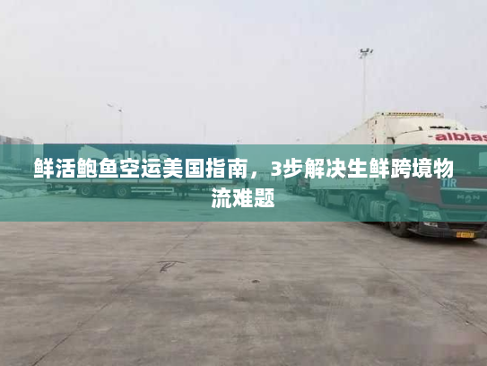 鲜活鲍鱼空运美国指南,3步解决生鲜跨境物流难题 鲜活鲍鱼空运美国指南,3步解决生鲜跨境物流难题