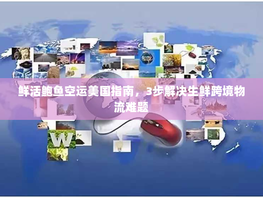 鲜活鲍鱼空运美国指南,3步解决生鲜跨境物流难题 鲜活鲍鱼空运美国指南,3步解决生鲜跨境物流难题