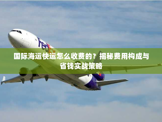 国际海运快运怎么收费的?揭秘费用构成与省钱实战策略 国际海运快运怎么收费的?揭秘费用构成与省钱实战策略
