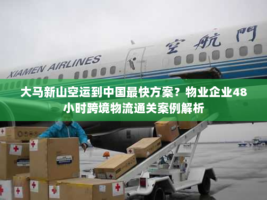 大马新山空运到中国最快方案?物业企业48小时跨境物流通关案例解析 大马新山空运到中国最快方案?物业企业48小时跨境物流通关案例解析