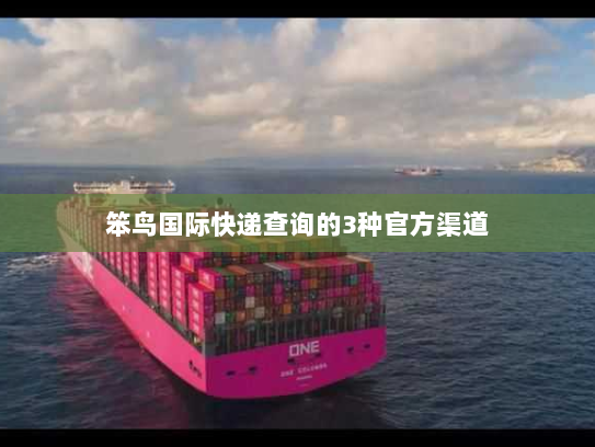 笨鸟国际快递查询的3种官方渠道