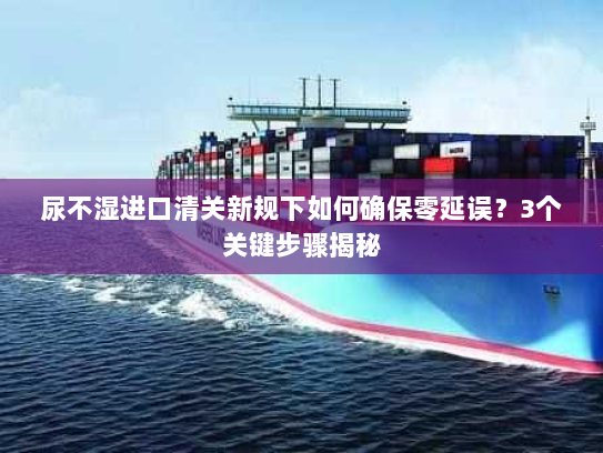 尿不湿进口清关新规下如何确保零延误？3个关键步骤揭秘