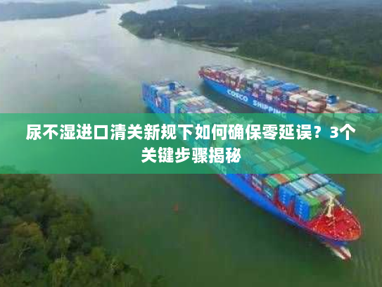 尿不湿进口清关新规下如何确保零延误？3个关键步骤揭秘