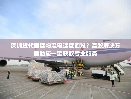 深圳货代国际物流电话查询难？高效解决方案助您一键获取专业服务
