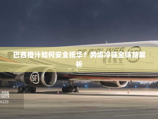 巴西橙汁如何安全抵华?跨境冷链全链路解析 巴西橙汁如何安全抵华?跨境冷链全链路解析