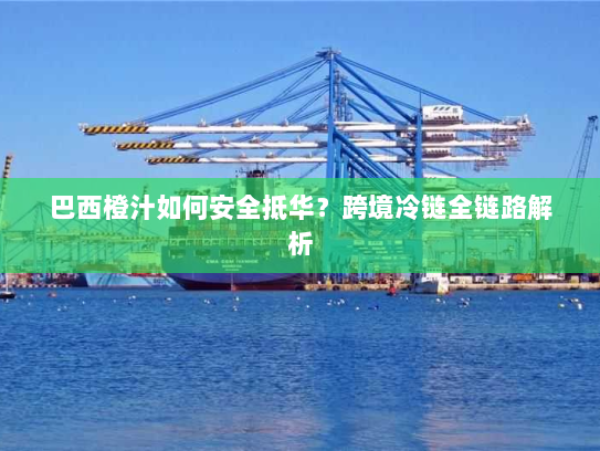 巴西橙汁如何安全抵华?跨境冷链全链路解析 巴西橙汁如何安全抵华?跨境冷链全链路解析