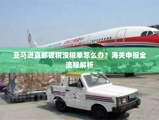 亚马逊直邮被税没税单怎么办？海关申报全流程解析
