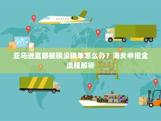 亚马逊直邮被税没税单怎么办？海关申报全流程解析