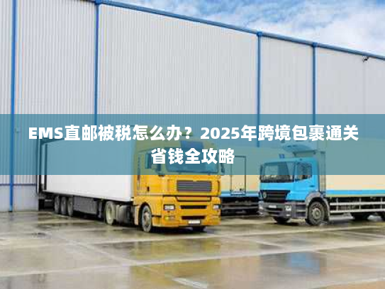 EMS直邮被税怎么办？2025年跨境包裹通关省钱全攻略