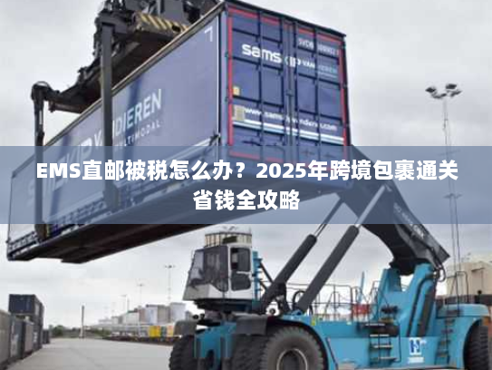 EMS直邮被税怎么办？2025年跨境包裹通关省钱全攻略