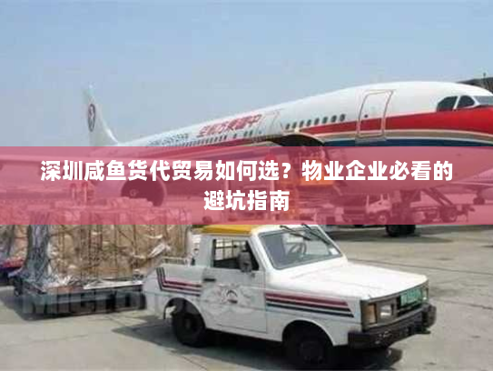深圳咸鱼货代贸易如何选?物业企业必看的避坑指南 深圳咸鱼货代贸易如何选?物业企业必看的避坑指南