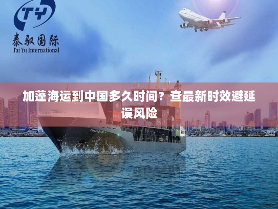 加蓬海运到中国多久时间?查最新时效避延误风险 加蓬海运到中国多久时间?查最新时效避延误风险