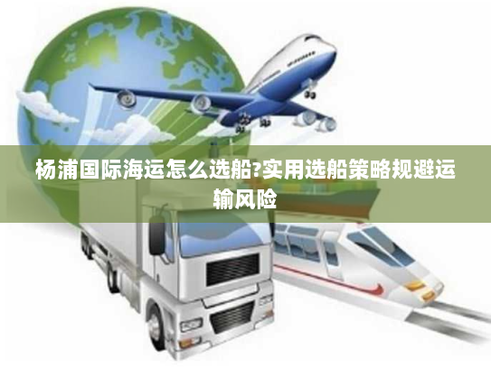 杨浦国际海运怎么选船?实用选船策略规避运输风险 杨浦国际海运怎么选船?实用选船策略规避运输风险