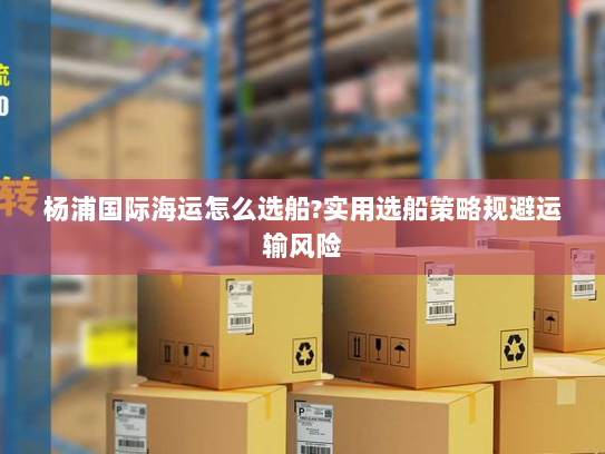 杨浦国际海运怎么选船?实用选船策略规避运输风险 杨浦国际海运怎么选船?实用选船策略规避运输风险