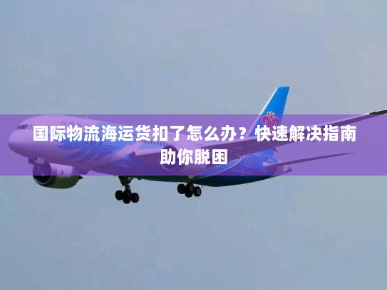 国际物流海运货扣了怎么办？快速解决指南助你脱困