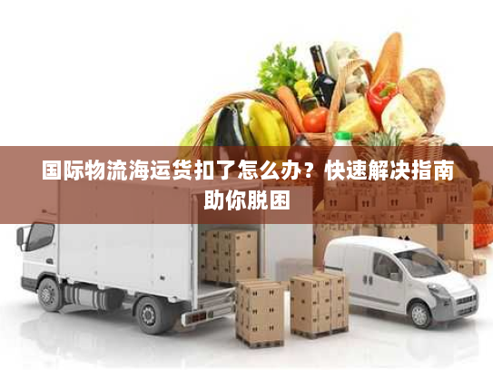 国际物流海运货扣了怎么办？快速解决指南助你脱困