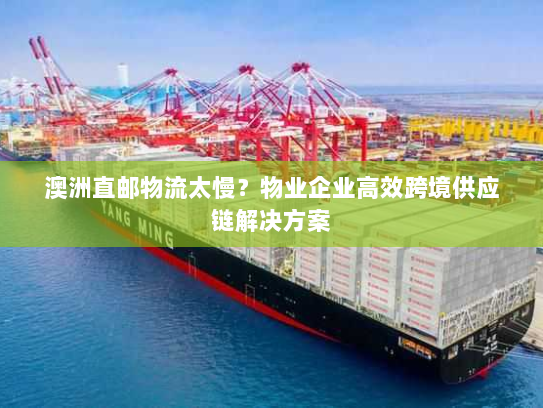 澳洲直邮物流太慢?物业企业高效跨境供应链解决方案 澳洲直邮物流太慢?物业企业高效跨境供应链解决方案