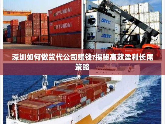 深圳如何做货代公司赚钱?揭秘高效盈利长尾策略 深圳如何做货代公司赚钱?揭秘高效盈利长尾策略