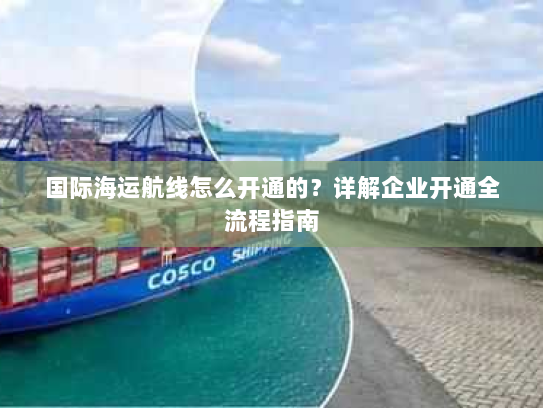 国际海运航线怎么开通的?详解企业开通全流程指南 国际海运航线怎么开通的?详解企业开通全流程指南