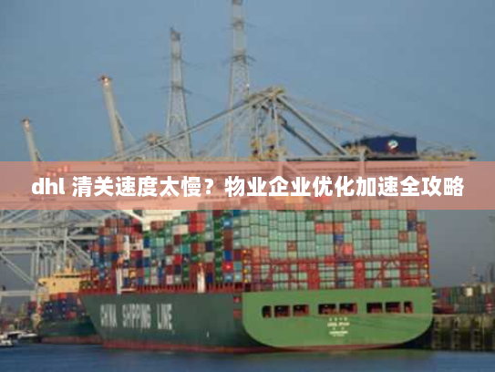 dhl 清关速度太慢？物业企业优化加速全攻略