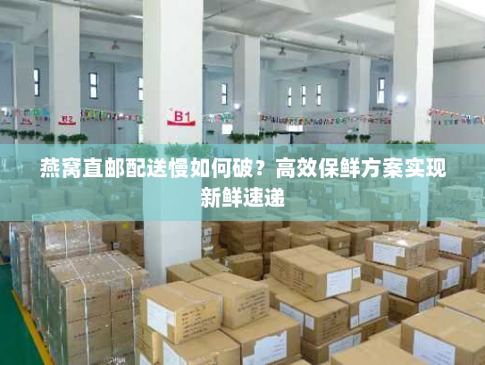 燕窝直邮配送慢如何破？高效保鲜方案实现新鲜速递