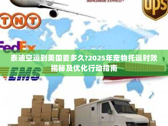 泰迪空运到美国要多久?2025年宠物托运时效揭秘及优化行动指南