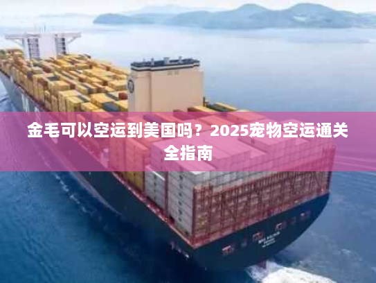 金毛可以空运到美国吗？2025宠物空运通关全指南