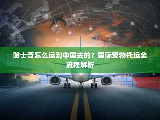 哈士奇怎么运到中国去的？国际宠物托运全流程解析
