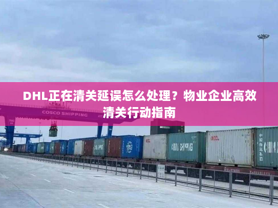 DHL正在清关延误怎么处理?物业企业高效清关行动指南 DHL正在清关延误怎么处理?物业企业高效清关行动指南