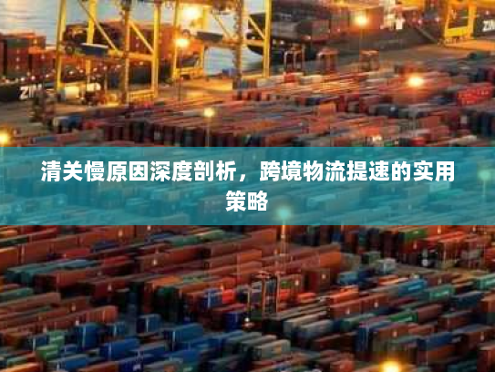 清关慢原因深度剖析,跨境物流提速的实用策略 清关慢原因深度剖析,跨境物流提速的实用策略