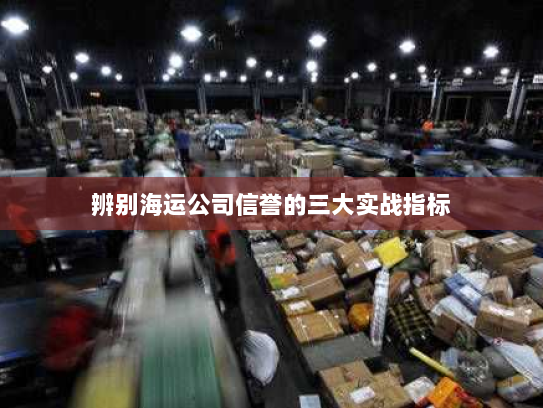 辨别海运公司信誉的三大实战指标