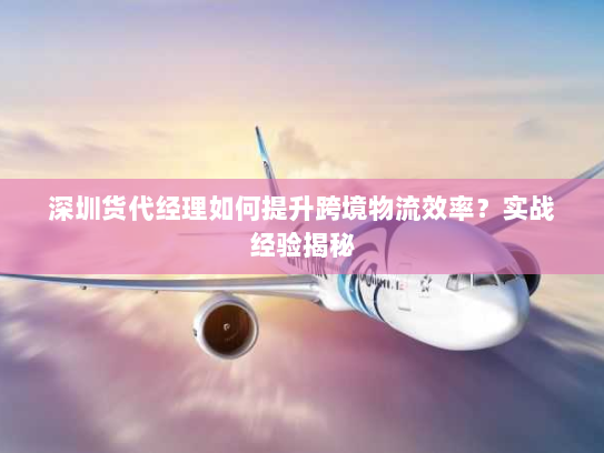 深圳货代经理如何提升跨境物流效率？实战经验揭秘