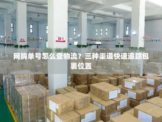 网购单号怎么查物流？三种渠道快速追踪包裹位置