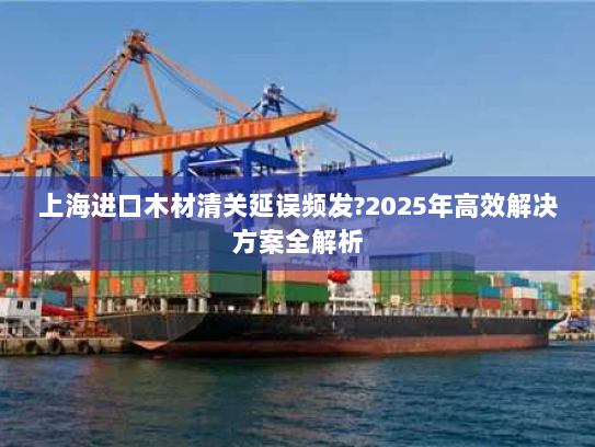 上海进口木材清关延误频发?2025年高效解决方案全解析 上海进口木材清关延误频发?2025年高效解决方案全解析