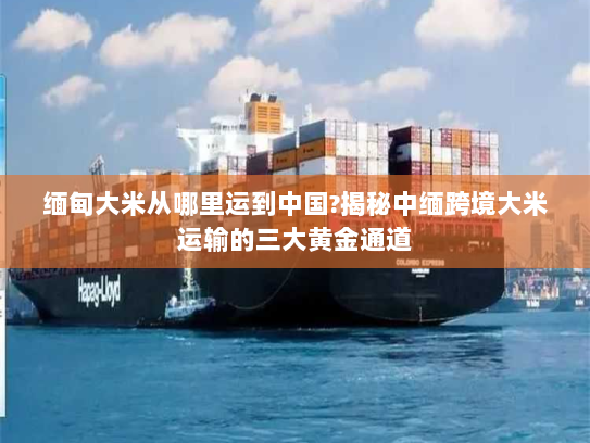缅甸大米从哪里运到中国?揭秘中缅跨境大米运输的三大黄金通道 缅甸大米从哪里运到中国?揭秘中缅跨境大米运输的三大黄金通道