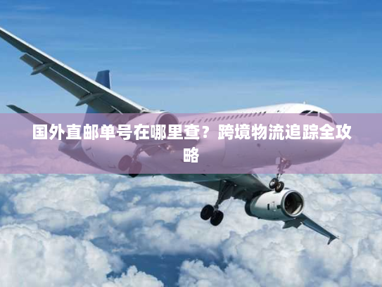 国外直邮单号在哪里查？跨境物流追踪全攻略