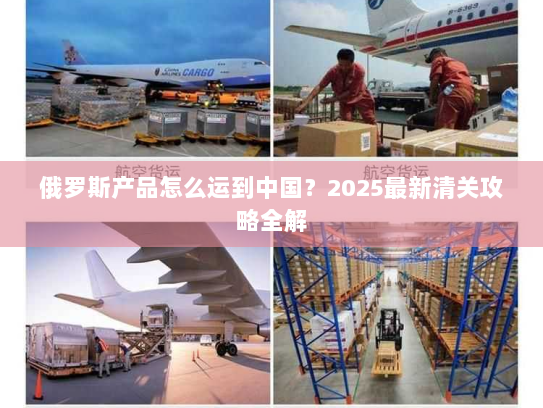俄罗斯产品怎么运到中国?2025最新清关攻略全解 俄罗斯产品怎么运到中国?2025最新清关攻略全解