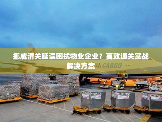 挪威清关延误困扰物业企业？高效通关实战解决方案