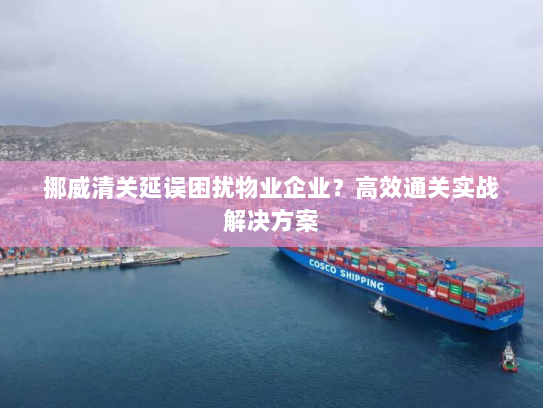 挪威清关延误困扰物业企业？高效通关实战解决方案