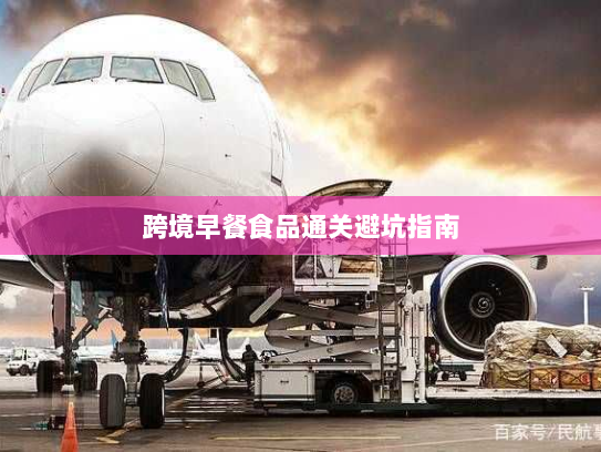 跨境早餐食品通关避坑指南