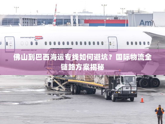 佛山到巴西海运专线如何避坑？国际物流全链路方案揭秘