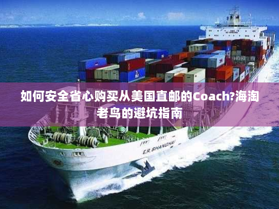 如何安全省心购买从美国直邮的Coach?海淘老鸟的避坑指南 如何安全省心购买从美国直邮的Coach?海淘老鸟的避坑指南
