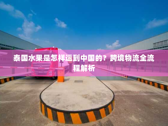 泰国水果是怎样运到中国的？跨境物流全流程解析