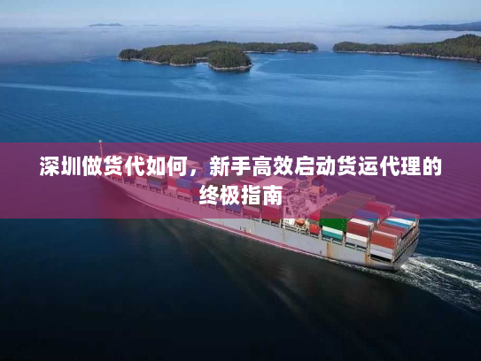 深圳做货代如何，新手高效启动货运代理的终极指南