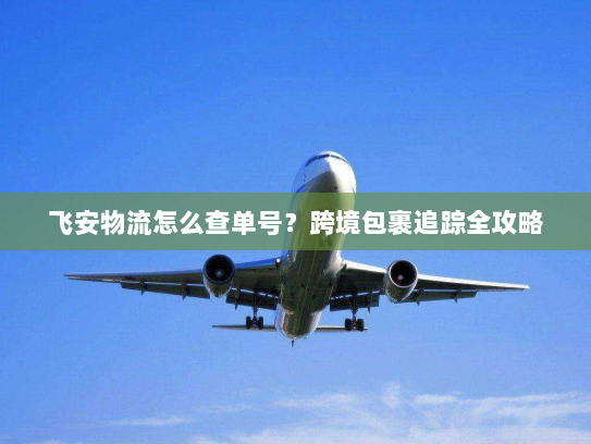 飞安物流怎么查单号?跨境包裹追踪全攻略 飞安物流怎么查单号?跨境包裹追踪全攻略