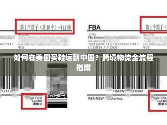 如何在美国买鞋运到中国?跨境物流全流程指南 如何在美国买鞋运到中国?跨境物流全流程指南