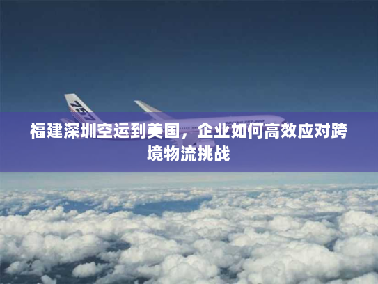 福建深圳空运到美国，企业如何高效应对跨境物流挑战