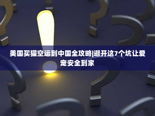 美国买猫空运到中国全攻略|避开这7个坑让爱宠安全到家