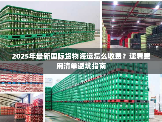 2025年最新国际货物海运怎么收费？速看费用清单避坑指南